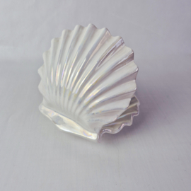 Schelp Schaaltje Porselein | Pereiras Portugal