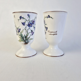 Villeroy & Boch Botanica Campanula Bekers Set van 2
