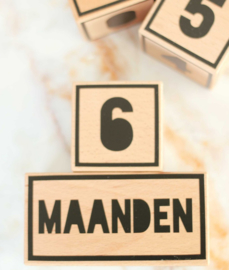 Mijlpaalblokken