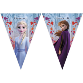 Vlaggenlijn ''Frozen'' (2,3 meter)