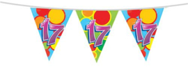 Vlaggenlijn ''17 jaar'' (10 meter)