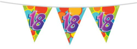 Vlaggenlijn ''18 jaar'' (10 meter)