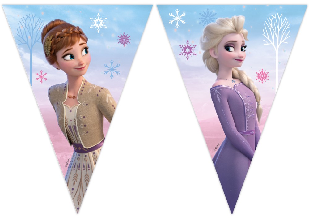 Vlaggenlijn Frozen (2,3 m.)