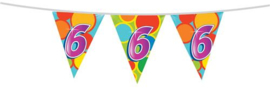Vlaggenlijn ''6 jaar'' (10 meter)