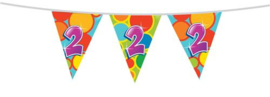 Vlaggenlijn ''2 jaar'' (10 meter)