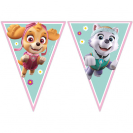 Vlaggenlijn ''Paw Patrol Skye & Everest'' (2,3 meter)