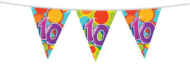Vlaggenlijn ''10 jaar'' (10 meter)