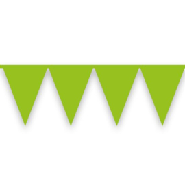 Vlaggenlijn Licht groen (10 meter)