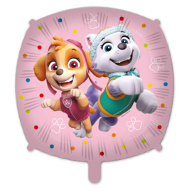 Folieballon Skye & Everest (41 cm)