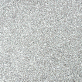 Vlaggenlijn Glitter ''Zilver'' (6 meter)