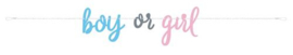 Letterslinger ''Boy or Girl'' (213 cm)