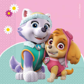 Servetten Skye & Everest (20 st.)