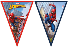 Vlaggenlijn Spiderman (2,3 m.)