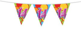 Vlaggenlijn ''14 jaar'' (10 meter)