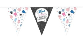Vlaggenlijn PE ''Gender Reveal'' (10 meter)