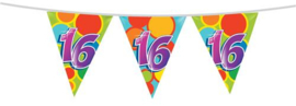 Vlaggenlijn ''16 jaar'' (10 meter)
