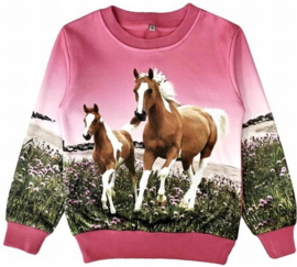 Roze sweater met paarden