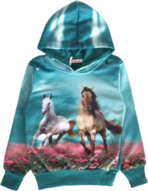 Hoodie mint paard