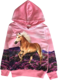 Hoodie roze met haflinger