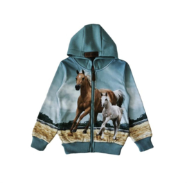 Mintgroen vest met paarden