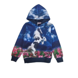 Hoodie steigerend paard