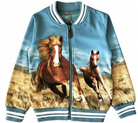 Mintgroen vest met paarden