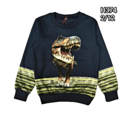 Sweater met dino