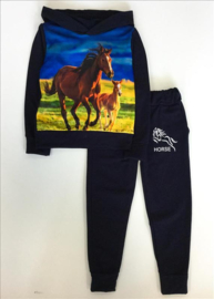 Blauw joggingpak paard