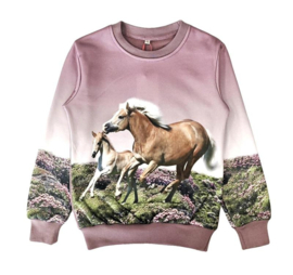 Oudroze sweater met paarden