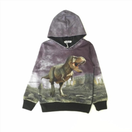 Hoodie dinosaurus