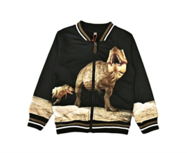 Zwart vest met dino