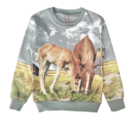 Grijze sweater met paarden