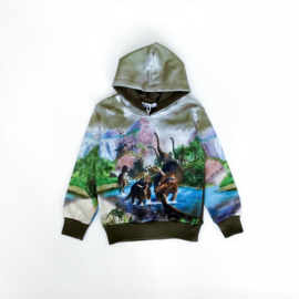 Hoodie dinosaurus groen