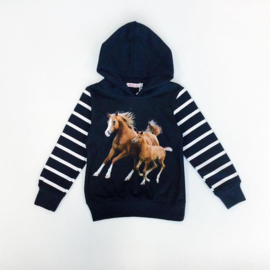 Hoodie paard en veulen