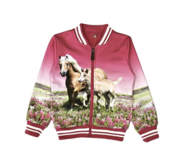 Vesten met paarden