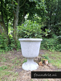 Grote robuuste Betonnen Plantenbak