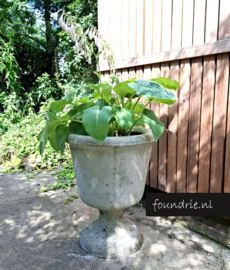 Grote robuuste Betonnen Plantenbak
