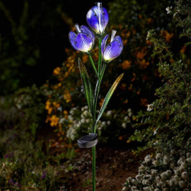 Krokus - Solar Gartenstecker - Solar Blume