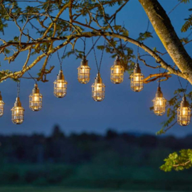 Anglia 365 - Guirlande lumineuse toute l'année - 10 lampes solaires suspendues