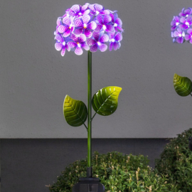 Solar Bloem - Hortensia Paars - 77 cm