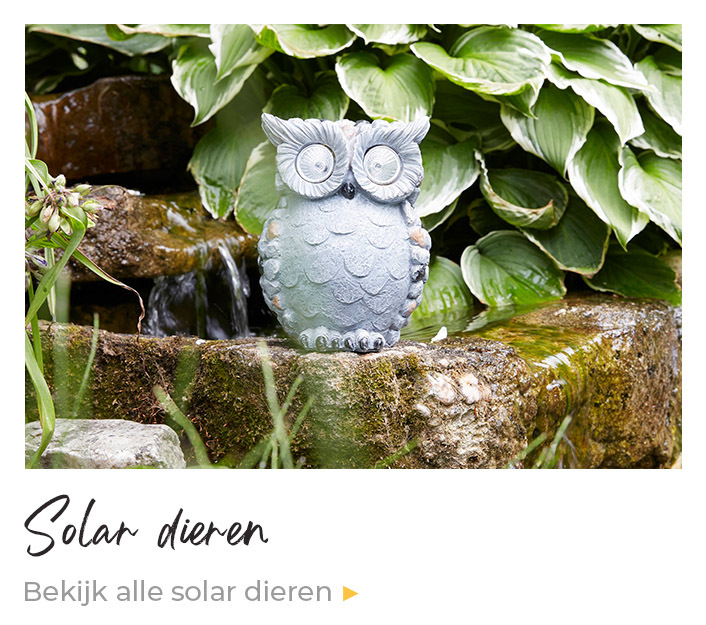 dorp gebied uitbarsting Solar tuindecoratie, tuinlampen op zonne-energie | Enjoythesun