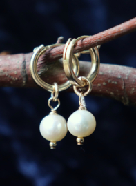 Zoetwaterparel 14k gold filled gouden of 925 zilveren creool oorbellen,