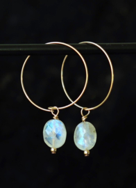 Regenboog maansteen 925 zilveren oorbellen of 14k gouden gold filled creolen