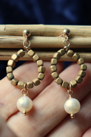 Hematiet 14k gold filled gouden oorbellen,