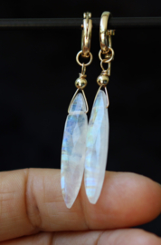 Regenboog maansteen 14k gold filled oorbellen