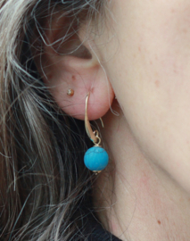 Howliet oorbellen gold plated