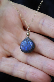 Schelp labradoriet aan 14k gold filled gouden of 925 zilveren ketting