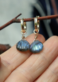 Labradoriet schelp 14k gold filled gouden oorbellen