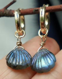 Labradoriet schelp 14k gold filled gouden oorbellen