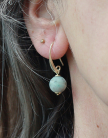 Jaspis oorbellen gold plated